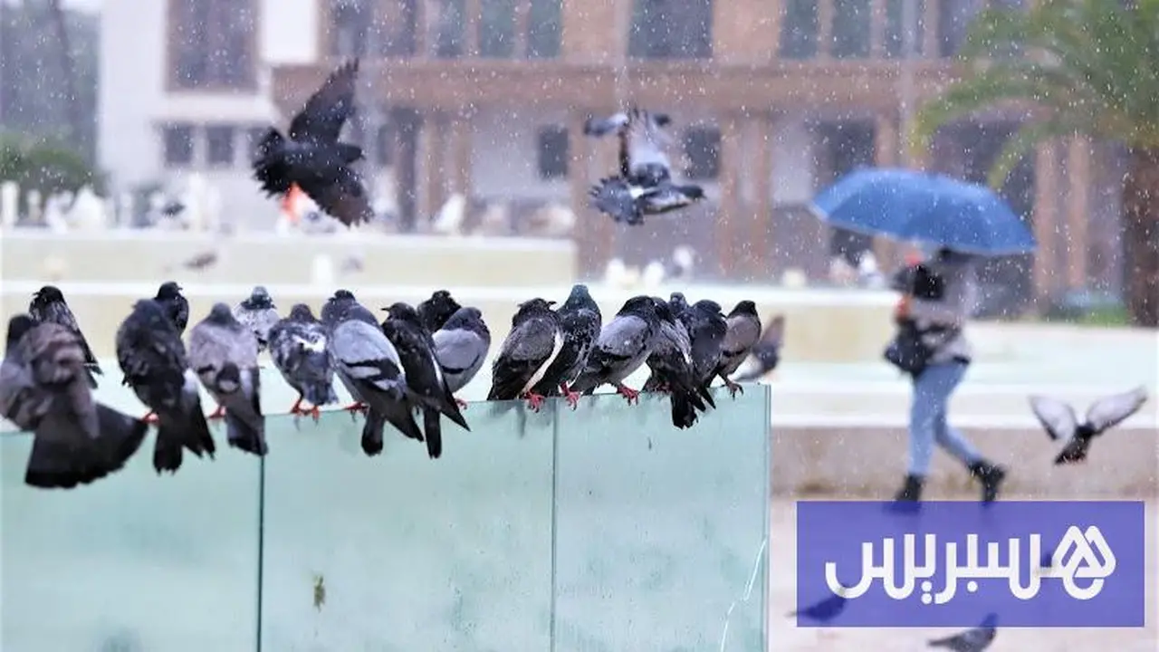 تقلبات جوية مرتقبة تشمل أمطاراً ورياحاً وانخفاضاً ملموساً في درجات الحرارة